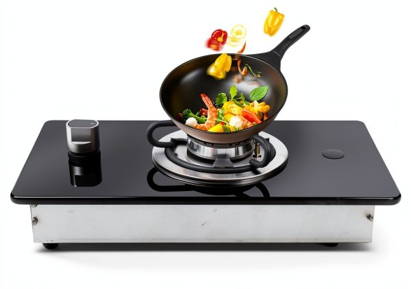 Pavo Gas Fireplace Stove Modern Design Home Heating Solution-1
