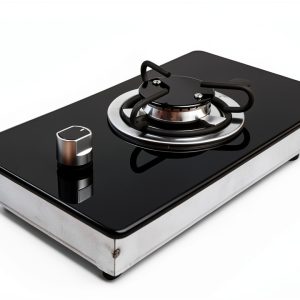 Pavo Gas Fireplace Stove Modern Design Home Heating Solution-0