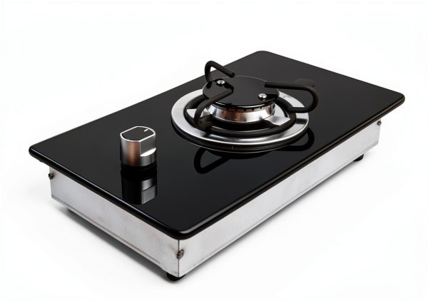 Pavo Gas Fireplace Stove Modern Design Home Heating Solution-0