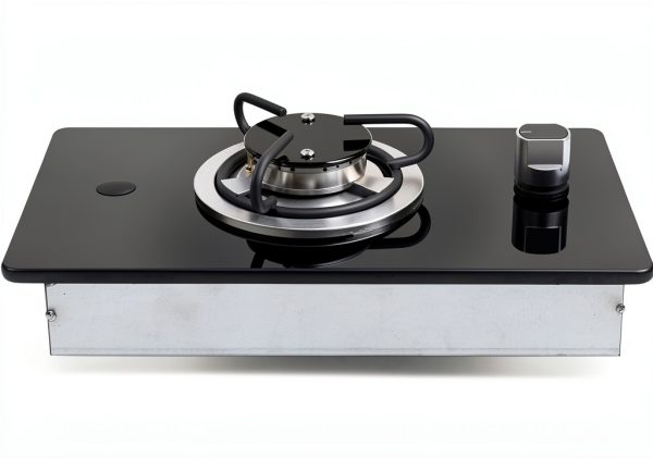 Pavo Gas Fireplace Stove Modern Design Home Heating Solution-3